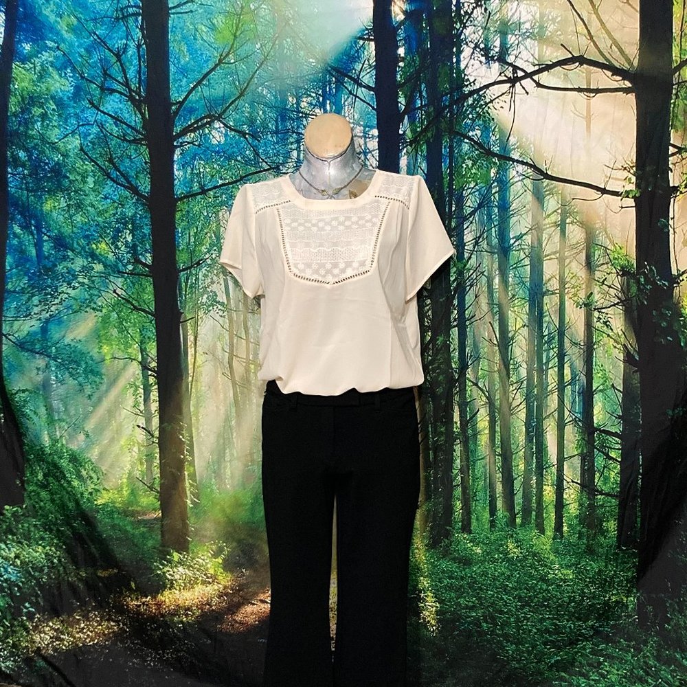 Lacy cream colored blouse